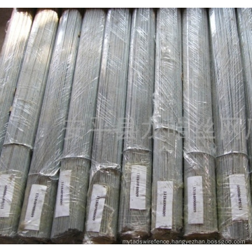 Bright Galvanized Cut Wire / Binding Wire